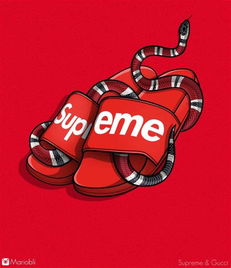 supreme gucci